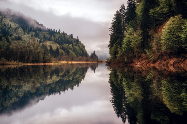 природа/nature - лес, озеро